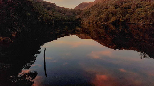 Reflection of tree on lake against sky during sunset