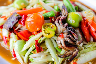 Close-up of salad served in plate