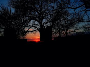 Low angle view of silhouette tree against sky at sunset