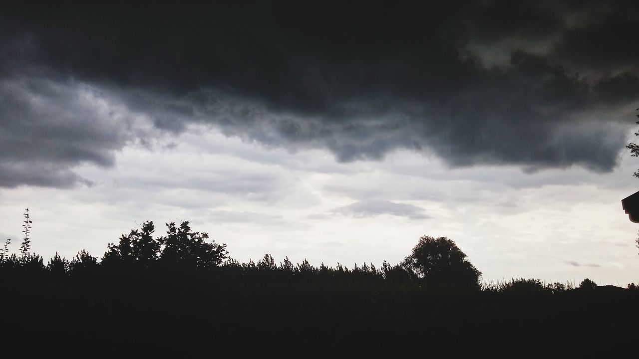 silhouette, sky, tree, cloud - sky, tranquility, low angle view, tranquil scene, beauty in nature, nature, scenics, cloudy, cloud, growth, overcast, landscape, outdoors, idyllic, no people, weather, non urban scene, non-urban scene, dark, plant, outline, day, remote, high section, majestic