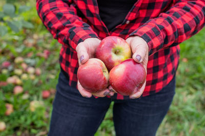 Midsection of person holding apple on field