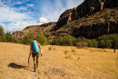 Rear view of woman hiking