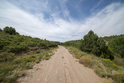 Road amidst plants against sky