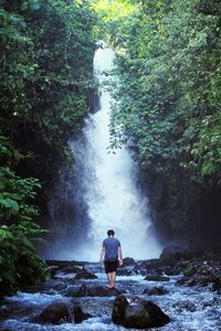 Rear view of man looking at waterfall in forest