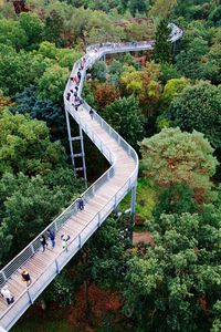 High angle view of bridge over trees