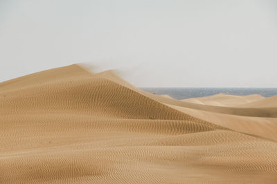 Sand dunes in a desert