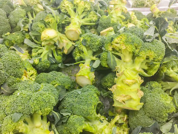 Close-up of vegetables for sale at market stall