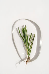 A drop of transparent cosmetic gel on a white background