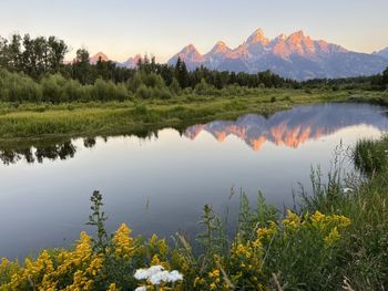 Sunrise at schwabacher landing, grand teton national park