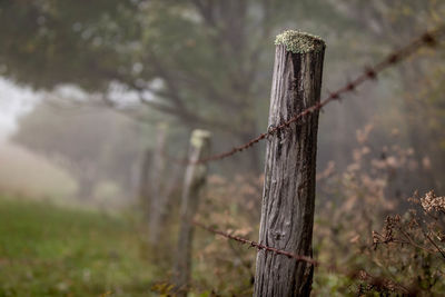 Barbed wire on wooden fence on field