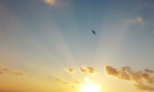 Low angle view of sky at sunset