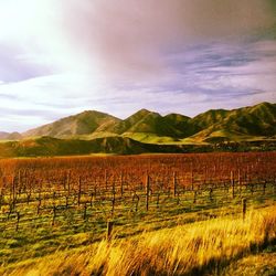 Scenic view of landscape against cloudy sky