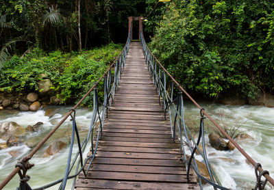 Footbridge over river amidst trees in forest