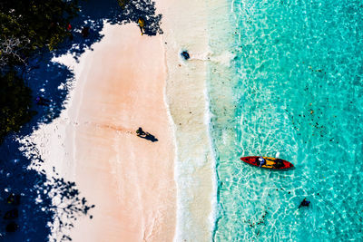 High angle view of insect on beach