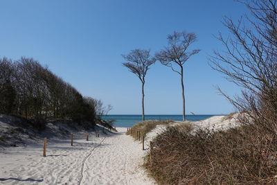 Scenic view of beach against clear blue sky