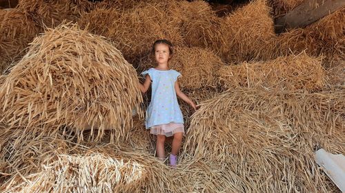 Young woman anna, sun, hay