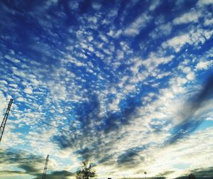 Low angle view of trees against sky