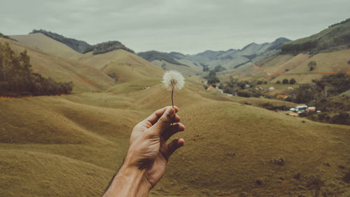 Man hand holding dandelion on mountain