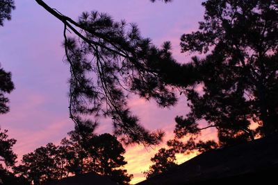 Low angle view of silhouette trees against sky