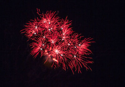 Low angle view of firework display at night