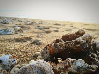 Close-up of rocks on beach against sky