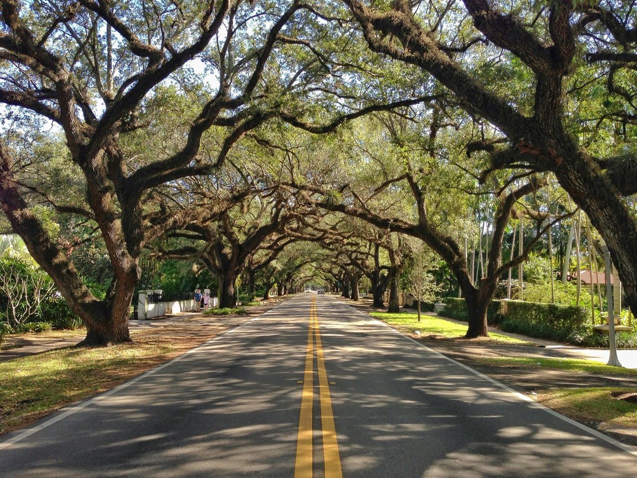 Coral Gables Merrick House