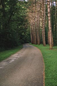 Road amidst trees in forest