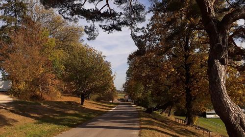 Empty road along trees during autumn