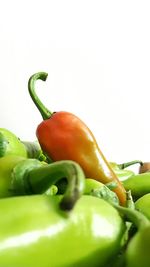 Close-up of bell peppers in plate against white background