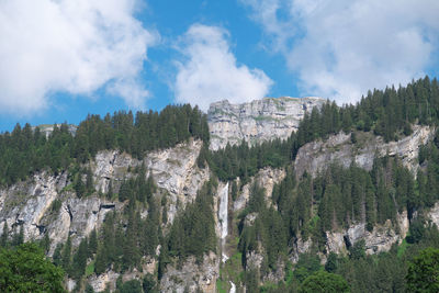 Panoramic view of trees and mountains against sky