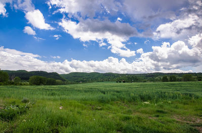 Scenic view of landscape against sky