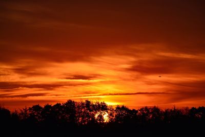 Low angle view of silhouette trees against dramatic sky