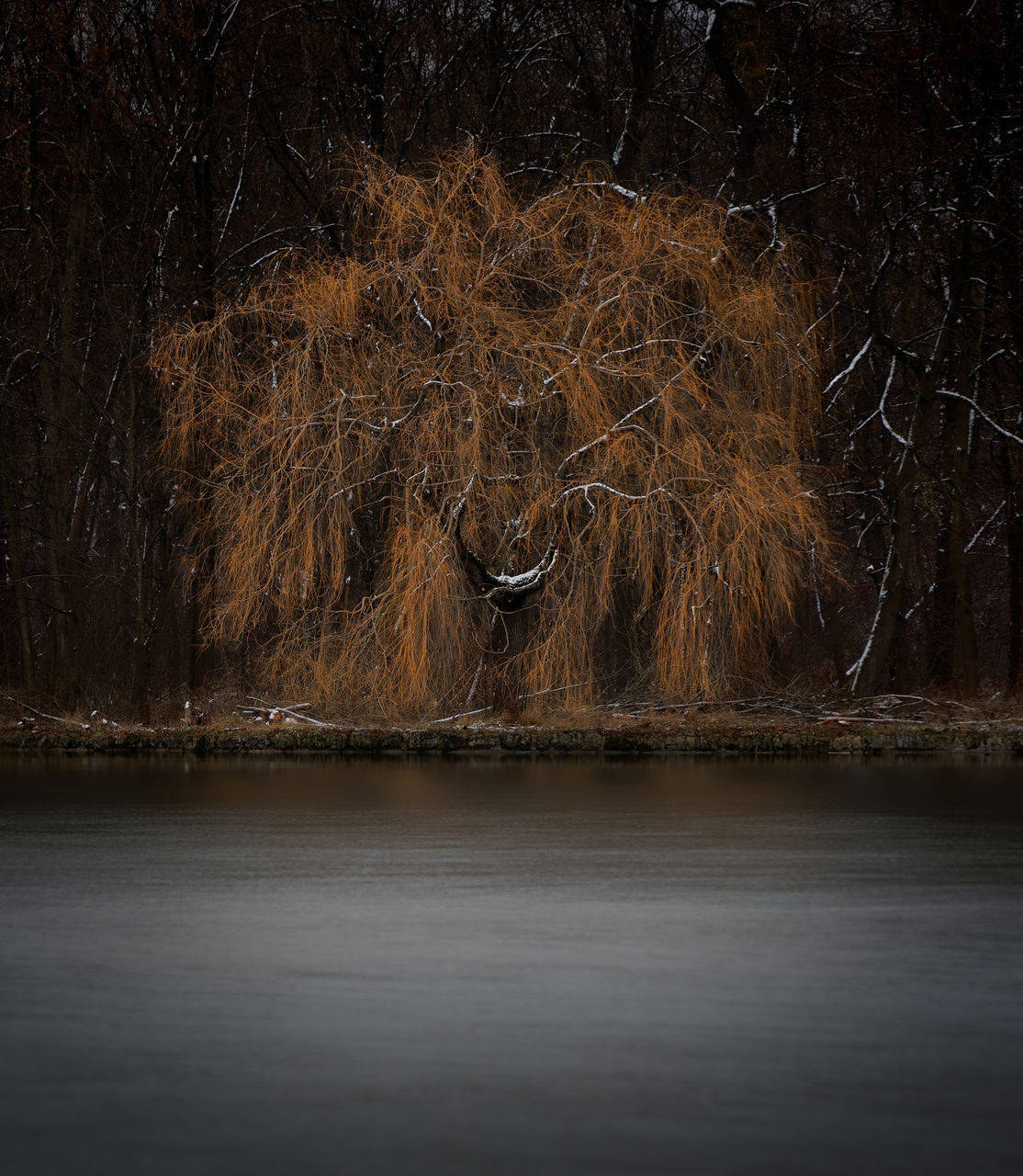 VIEW OF A BIRD ON THE WATER