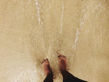 Low section of people standing on beach