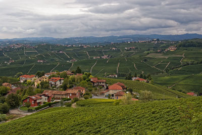 Scenic view of agricultural field by buildings against sky