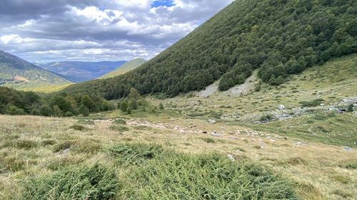 Scenic view of landscape against sky