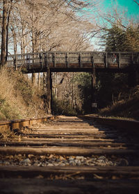 Railroad track amidst trees