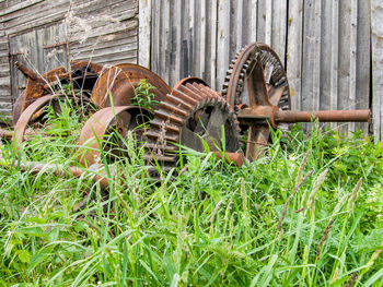 Low section of grass on grassland