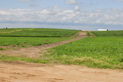 Scenic view of agricultural field against sky