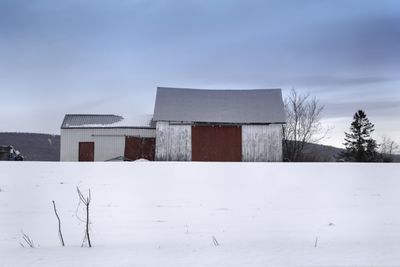 Snow covered landscape with trees in background