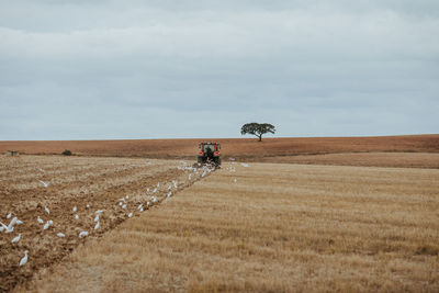 View of agricultural field against sky