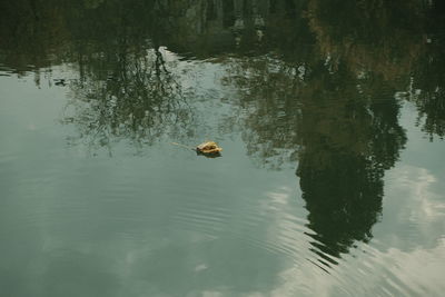 People kayaking in sea