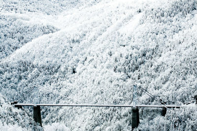 Aerial view of snow