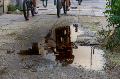 Reflection of bicycle in puddle on street