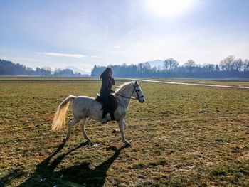Riding a lipizzaner horse in beautiful meadows od naklo, slovenia.