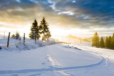 Trees on snow covered landscape against cloudy sky during sunset