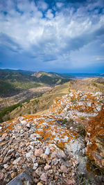 Scenic view of landscape against sky