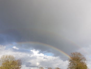 Low angle view of rainbow over trees against sky