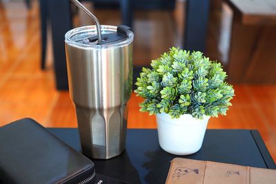 Close-up of potted plant on table