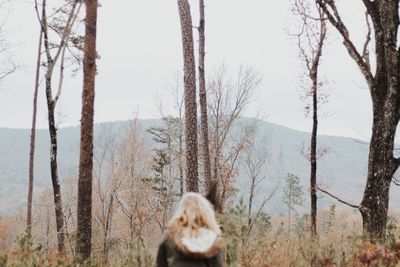 View of a dog looking away